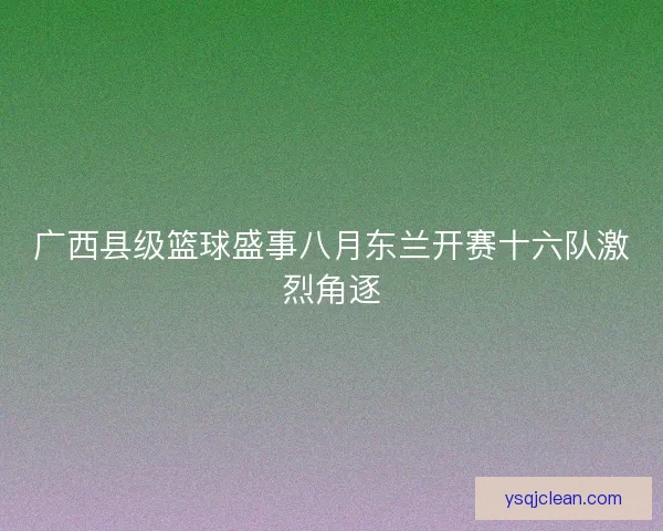 广西县级篮球盛事八月东兰开赛十六队激烈角逐